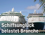 2 Kreuzfahrtschiffe unter Palmenblättern