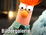 Filmszene aus "Die Muppets"