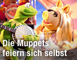 Kermit und Miss Piggy musizieren