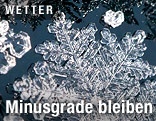 Schneekristalle
