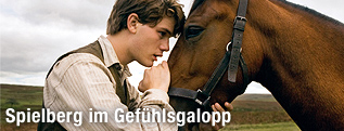 Jeremy Irvine und ein Pferd in Steven Spielbergs "Gefährten"