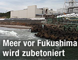 Atomkraftwerk Fukushima