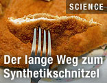 Schnitzel