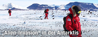 Südkoreanische Forscher in Victoria Land in der Antarktis