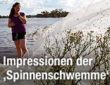 Eine Frau betrachtet ein gigantisches Spinnennetz