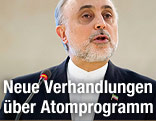 Iranischer Außenminister Ali Akbar Salehi