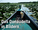 Boot auf der Donau