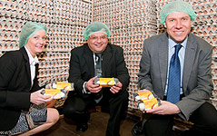© University of Leicester Wissenschafter der Universität von Leicester mit Eierkartons und Plastikhauben