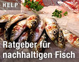 Fische