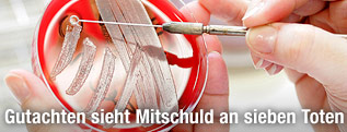 Labormitarbeiterin beim Anlegen von Bakterienkulturen