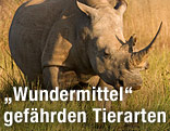 Nashorn