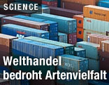 Schiffscontainer