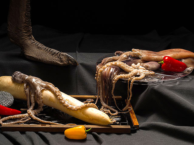 Aufnahme von der Ausstellung "freeze! dioramen und stillleben" im Naturhistorischen Museum Wien