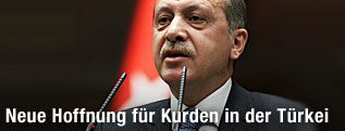 Türkischer Präsident Recep Tayyip Erdogan