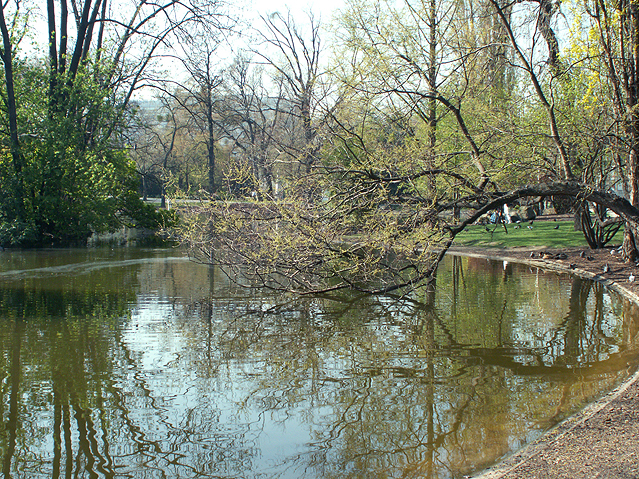 © ORF.at/Kaja Stepien Stadtpark Wien