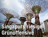 Supertrees in Singapur