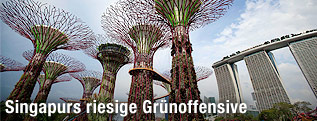 Supertrees in Singapur
