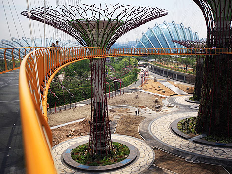 Baustelle der Supertrees in Singapur