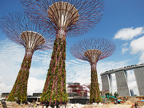 Baustelle der Supertrees in Singapur