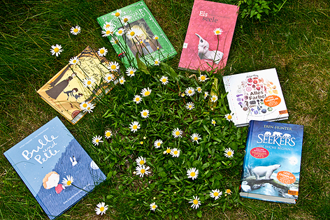Bücher im Freien