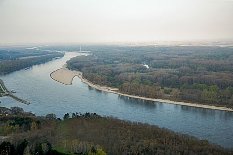 © picturedesk.com/Caro Nationalpark Donau-Auen bei Hainburg