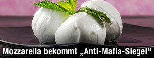 Mozzarella