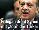 Der türkische Premier Erdogan