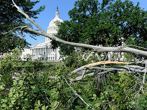 Vom Sturm umgeknickte Bäume vor dem Weißen Haus in Washington DC