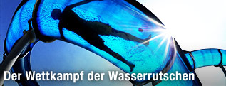 Ein Junge rutscht im Gegenlicht der Mittagssonne über eine Wasserrutsche