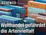 Container