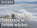 Meereswelle