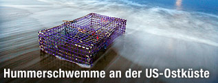 Hummerkäfig