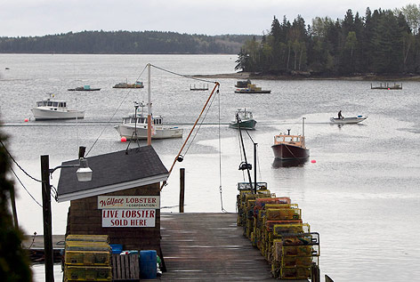© AP/Robert F. Bukaty Fischerboote in Maine