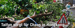 Umgestürzter Baum nach Taifun in Hongkong