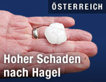 Ein Mann hält ein Hagekorn