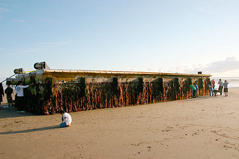 Anleger am Strand