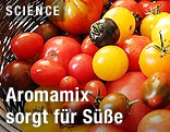 Tomaten