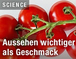 Tomaten