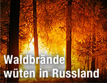 Brennender Wald