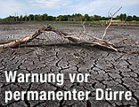 Ausgetrockneter Sumpf
