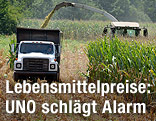 Erntefahrzeuge auf einem Feld