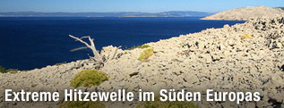 Ausgetrockneter Küstenlandstrich