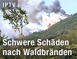 Brennender Wald