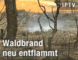 Brennender Wald und Kohlereste