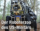 Roboter in Form eines Hundes bewegt sich im Wald