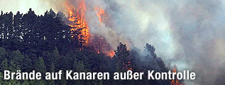 Waldbrand auf Teneriffa