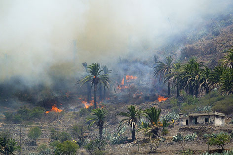 © APA/EPA/Carlos Fernandez Feuer auf La Gomera