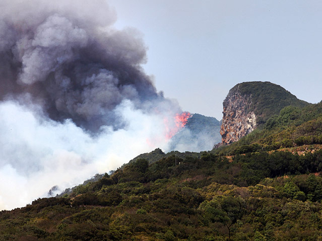 Waldbrand auf La Palma