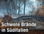 Brennender Wald nahe Cosenza, Italien