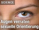 Augen